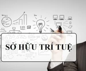 Văn Phòng Luật Sư Cầu Giấy