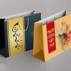 Túi Giấy Hupuna Group – Công Ty Cổ Phần Hupuna Group