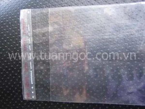 Bao Bì Tuấn  Ngọc – Công Ty TNHH Đầu Tư Thương Mại Và Sản Xuất Bao Bì Tuấn Ngọc