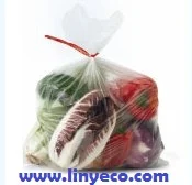 Công Ty TNHH Lâm Nghiệp