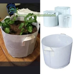 Công Ty TNHH Sản Xuất Và Dịch Vụ Thanh Hà