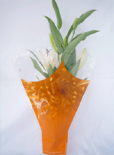 Công Ty TNHH Sản Xuất – Thương Mại – Dịch Vụ – Xuất Nhập Khẩu Phước Kim Thành