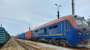 Ngô Gia Logistics – Công Ty TNHH Giao Nhận Hàng Hóa Ngô Gia
