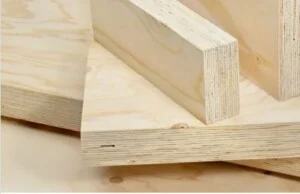 Chi Nhánh Công Ty TNHH Sản Xuất Thương Mại Xuất Nhập Khẩu Gỗ Veneer Bách Việt