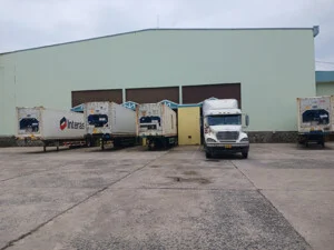 Tân Hòa Phát Logistics – Công Ty TNHH Thương Mại Và Dịch Vụ Tân Hòa Phát