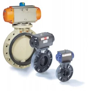 Công Ty TNHH Thương Mại Và Dịch Vụ Tường Hồng