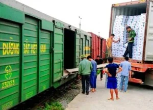 Chi Nhánh Công Ty Cổ Phần Dịch Vụ Vận Tải Thống Nhất