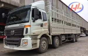 GCL Logistics – Công Ty TNHH Kho Vận Globalcom (GCL)