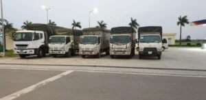 Vận Tải Đại Phát Tín – Công Ty TNHH Vận Tải Đại Phát Tín