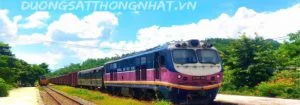 Chi Nhánh Công Ty Cổ Phần Dịch Vụ Vận Tải Thống Nhất