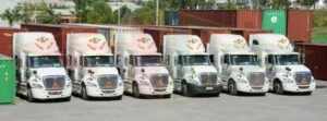 Logistics Hoàng Gia BN – Công Ty Cổ Phần Hoàng Gia BN
