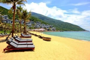 Công Ty TNHH Beetours Việt Nam