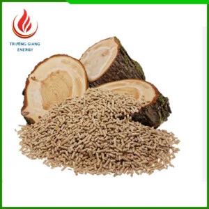 Chất Đốt Công Nghiệp Trường Giang Energy – Công Ty TNHH Trường Giang Energy