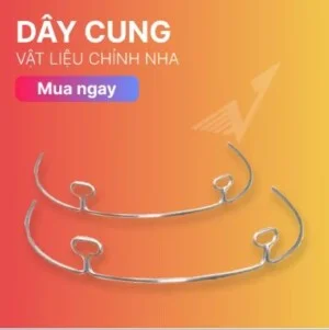 Thiết Bị Nha Khoa Việt Hùng Group – Công Ty TNHH Việt Hùng Group