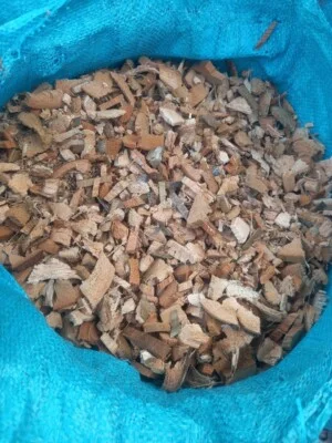 Mụn Dừa, Sơ Dừa Trần Vinh – Cơ Sở Dừa Trần Vinh