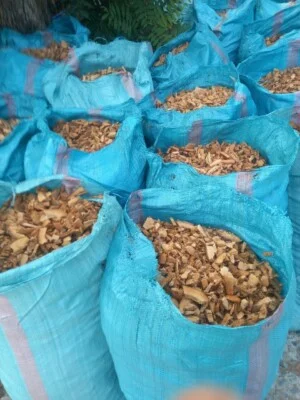 Mụn Dừa, Sơ Dừa Trần Vinh – Cơ Sở Dừa Trần Vinh