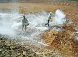 Hợp Tác Xã Chế Biến Vôi Ngân Hồng