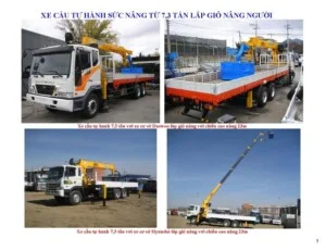 Công Ty TNHH MTV Vận Tải Nguyễn Thông