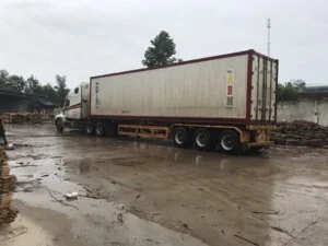 Gỗ Bạch Đằng – Công Ty TNHH Gỗ Bạch Đằng