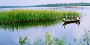 Xử Lý Nước Thải Việt Thủy Sinh – Công Ty TNHH Việt Thủy Sinh
