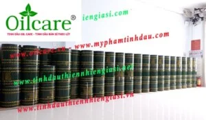 Công Ty TNHH Oil Care