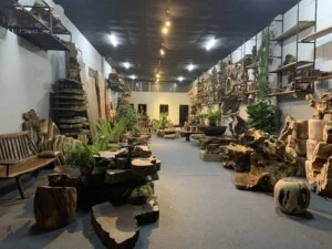 Công Ty TNHH Thiết Kế Nội Thất Furniwood