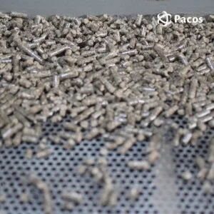 Công ty CP Thương Mại Quốc Tế Pacos