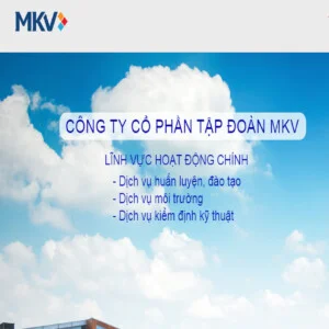 Công Ty Cổ Phần Tập Đoàn MKV
