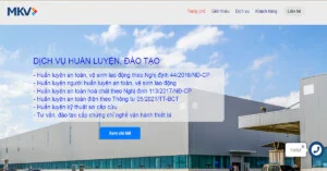 Công Ty Cổ Phần Tập Đoàn MKV