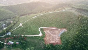 Công ty TNHH Trà Ngọc Thanh Sơn