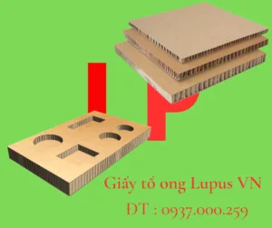 Công Ty TNHH LUPUS Việt Nam
