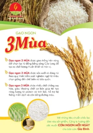 Công Ty TNHH Lương Thực Và Thực Phẩm An Gia Phú