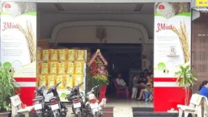 Công Ty TNHH Lương Thực Và Thực Phẩm An Gia Phú