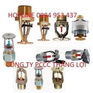 Công Ty TNHH PCCC Thắng Lợi