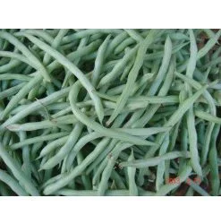 Nông Sản VietCan – Công Ty TNHH Liên Doanh Kiến Quốc VietCan