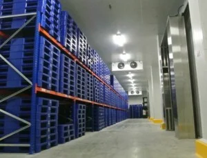 Kho Lạnh HDO – Công Ty Cổ Phần Kinh Doanh HDO