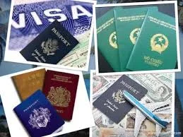 Công Ty Cổ Phần Thương Mại Và Du Lịch Rồng Việt