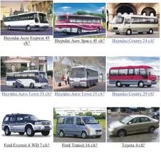 Công Ty Cổ Phần Thương Mại Và Du Lịch Rồng Việt