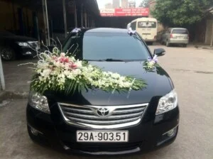 Công Ty TNHH Thương Mại Và Dịch Vụ Vina Hoàng Long