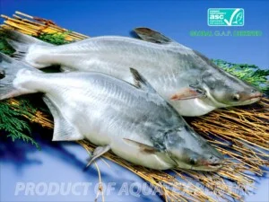 Tư Vấn Môi Trường Đại Nam – Công Ty TNHH Giải Pháp Môi Trường Đại Nam