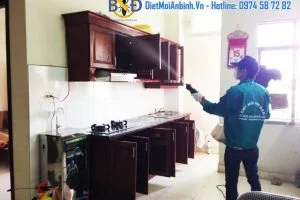 Công Ty TNHH Thương Mại Và Dịch Vụ Bình Đan