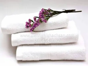 Công Ty TNHH Sản Xuất Thương Mại Xuất Nhập Khẩu Việt Nguyễn