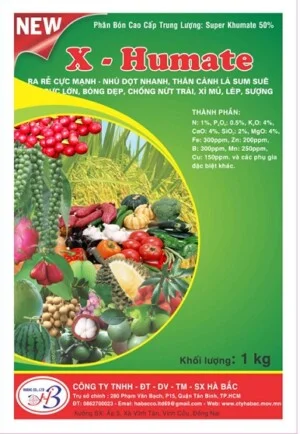 Công Ty TNHH Đầu Tư Dịch Vụ Thương Mại Xây Dựng Hà Bắc