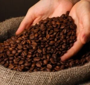 Xưởng Sản Xuất Cà Phê Brownka – Công Ty TNHH Xuất Nhập Khẩu DVTM Kiến An