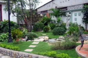 Cây Xanh Đức Lộc – Công Ty TNHH Tư Vấn Thương Mại Đức Lộc