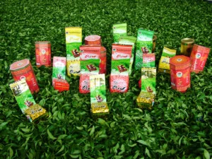 Chè Thái Bình Lạng Sơn – Công Ty Cổ Phần Chè Thái Bình Lạng Sơn