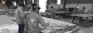 Công Ty TNHH Thanh Lâm