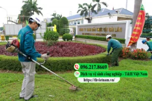 Công Ty Cổ Phần Dịch Vụ T&H Việt Nam