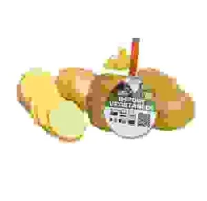 Công Ty TNHH MTV Ant Farm