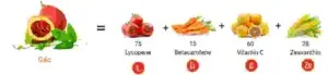 Thiết Kế In Ấn Lộc Phát – Công Ty TNHH Thiết Kế In Ấn Lộc Phát